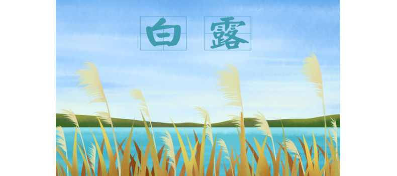白露來(lái)臨，如何有效預(yù)防池塘變化？