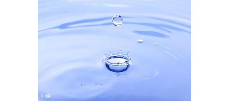 養(yǎng)蝦先養(yǎng)水！養(yǎng)水的關(guān)鍵核心原來是它！